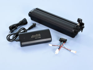 BATTERIE E CARICA BATTERIE POLINI EVO2
